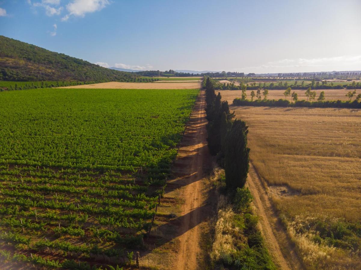 Antica Fattoria La Parrina Villa Orbetello Buitenkant foto