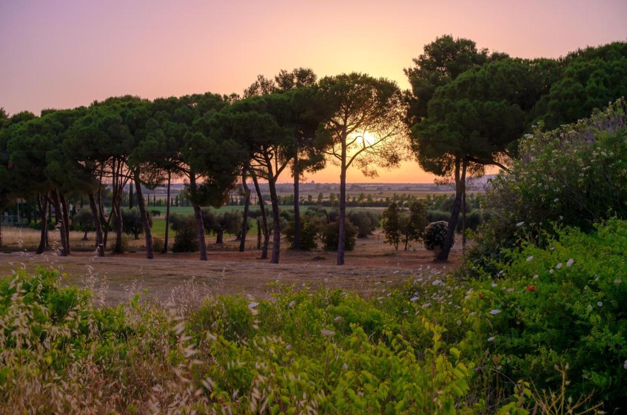 Antica Fattoria La Parrina Villa Orbetello Buitenkant foto